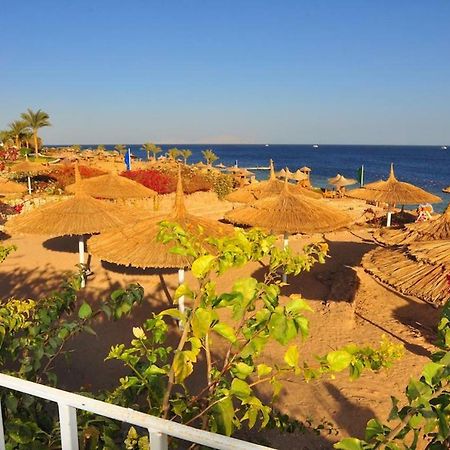 Carlton Luxury Villa Sharm El Sheikk Exterior foto